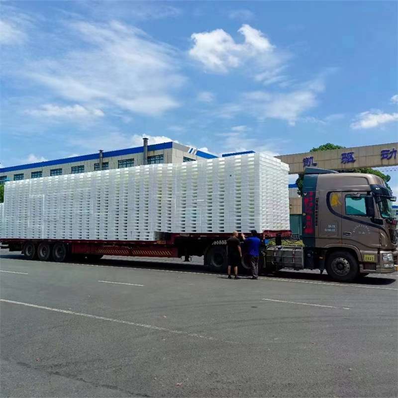 荷塘区黄埔区物流：多元服务与高效运输线路探秘