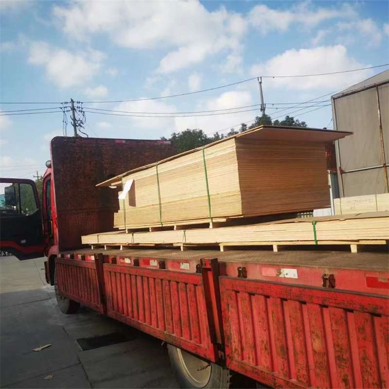 荷塘区海城市物流：多元运输服务与线路探秘