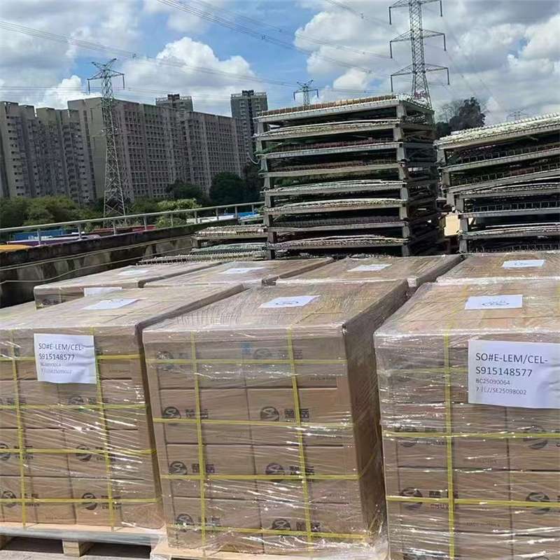 荷塘区博州特色物流：多元服务与运输线路探秘