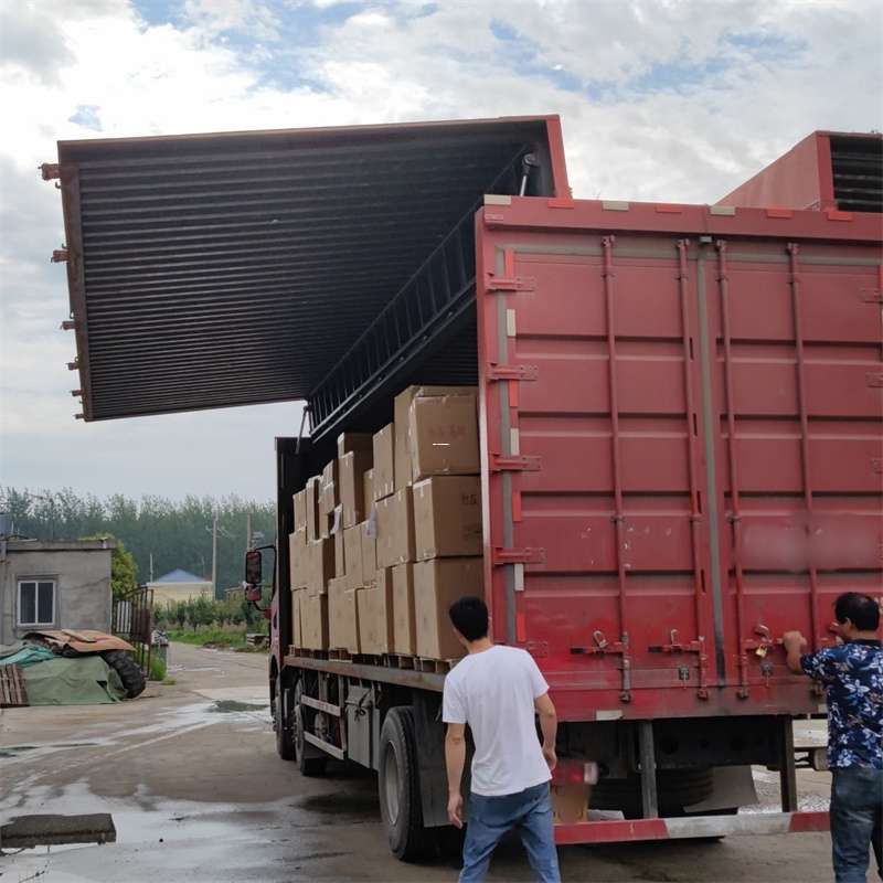 荷塘区扎囊县：物流专线的高效货运之旅
